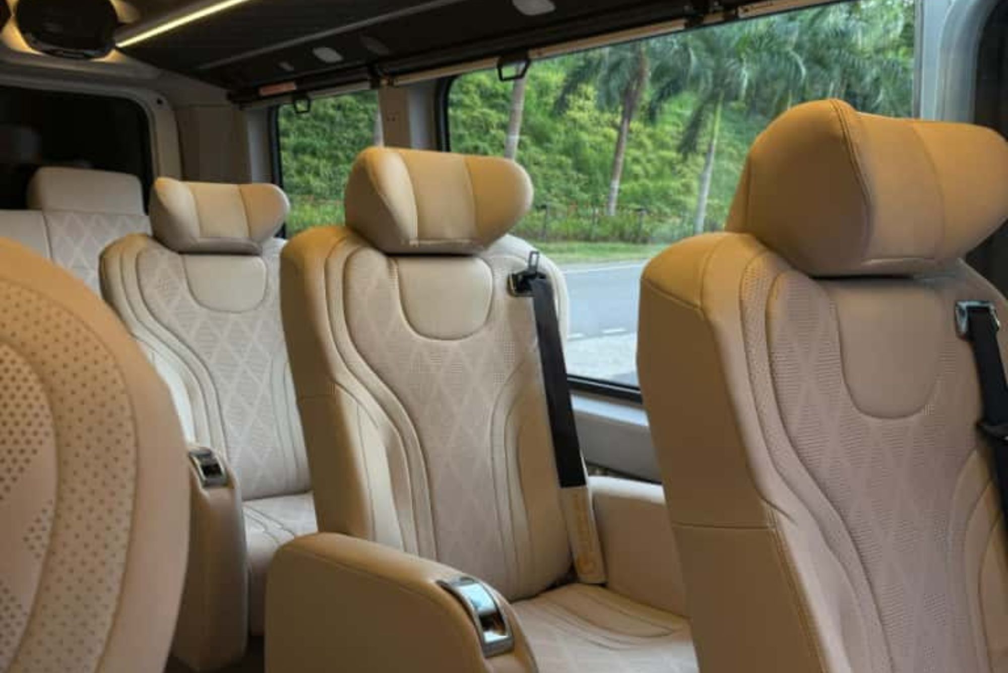 interior of southern dayz